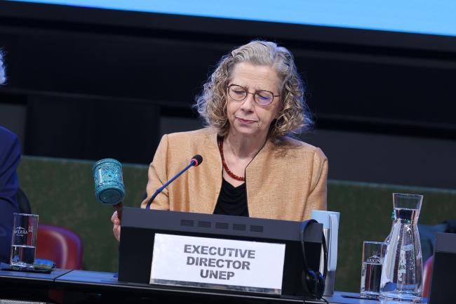 UNEP Executive Director Inger Andersen