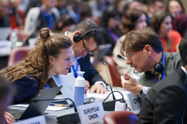 EU delegates consulting