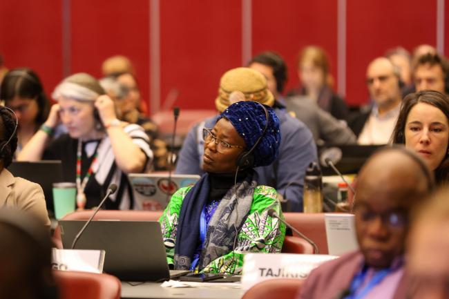 Plenary