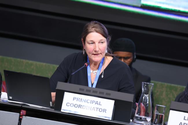 Tessa Goverse, Principal Coordinator and Head of the Interim Secretariat