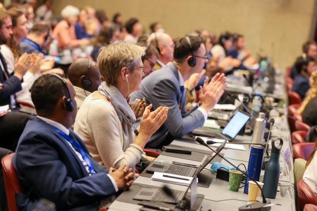 Delegates approved the new bureau members by acclamation