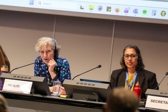 Gudi Alkemade, the Netherlands, and Nalini Sharma, UNEP