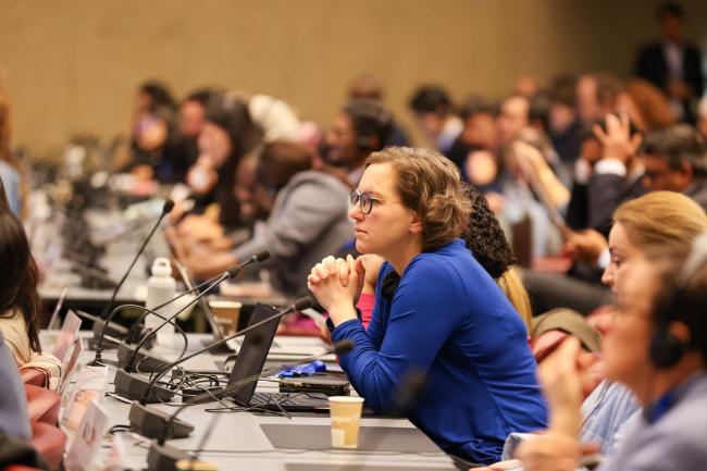 Plenary