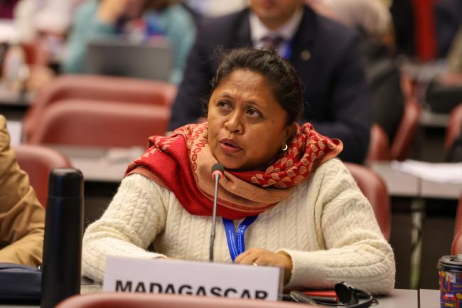 Dina Haingonirina Rakotoarisoa, Madagascar