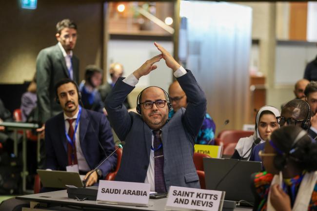 Saudi Arabia raising a point of order