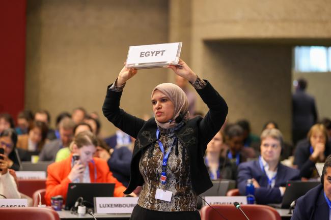 Egypt raising a point of order