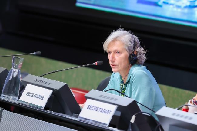Gudi Alkemade, the Netherlands, facilitated the contact group on the rules of procedure