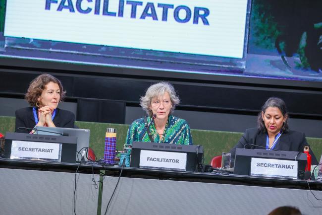 View of the dais during the contact group