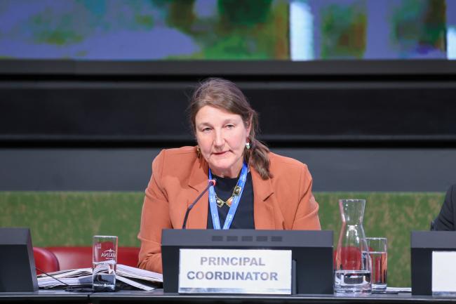 Tessa Goverse, Principal Coordinator and Head of the Interim Secretariat