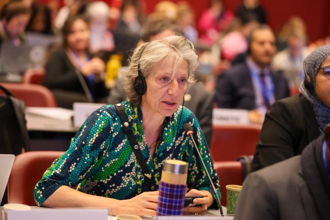   Gudi Alkemade, the Netherlands, reporting from the contact group on the rules of procedure.