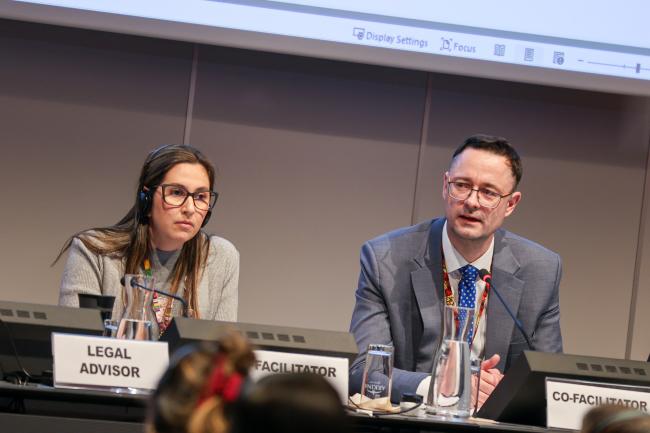 María del Mar Solano Trejos, Costa Rica, and Přemysl Štěpánek, Czechia, co-facilitated the contact group on the trust fund and dates and venue