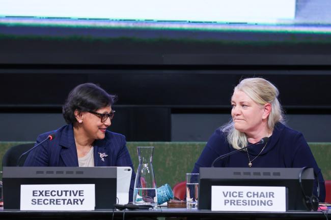 Jyoti Mathur-Filipp, Executive Secretary, INC Secretariat, and Vice-Chair Johanna Lissinger-Peitz, Sweden