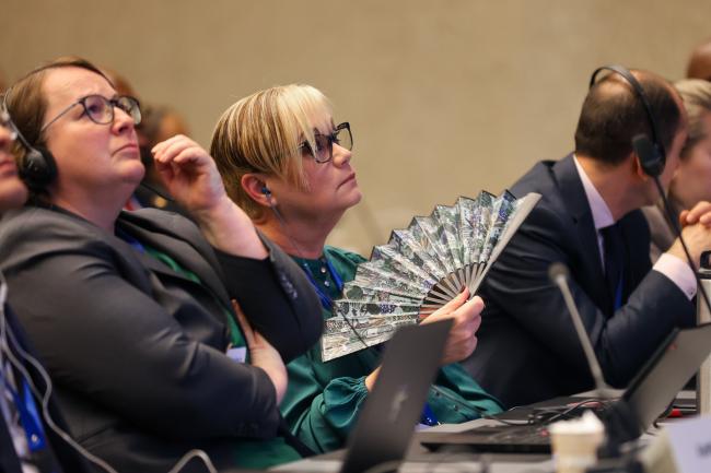 Plenary