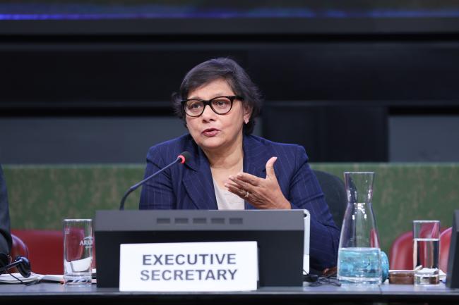 Jyoti Mathur-Filipp, Executive Secretary, INC Secretariat