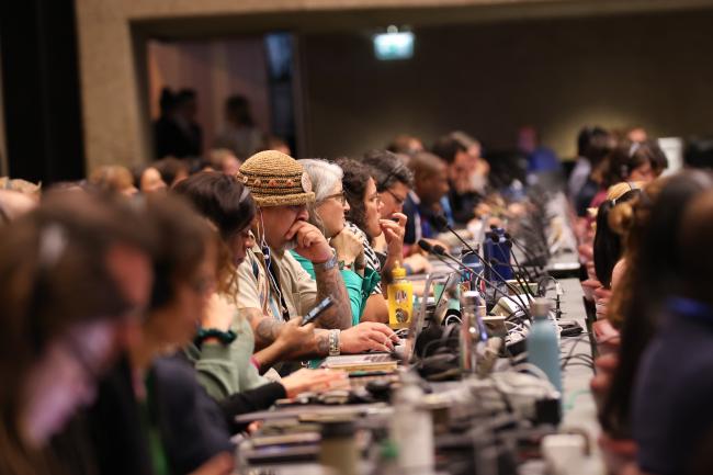 Plenary