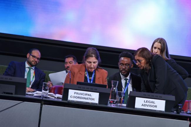 View of the dais during a break from plenary
