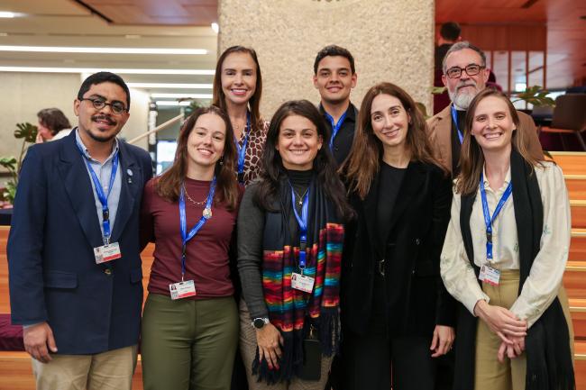 The Brazilian delegation