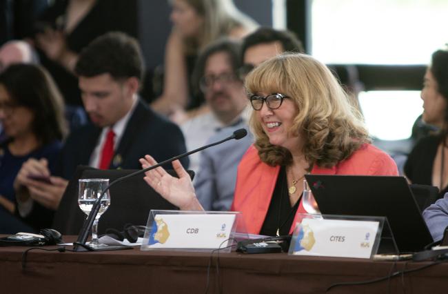 1 Astrid Schomaker (CBD Executive Secretary- CMS COP15 - 22Mar2026