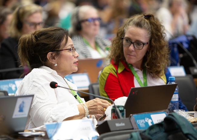 1 Consultations - CMS COP15 - 24Mar2026