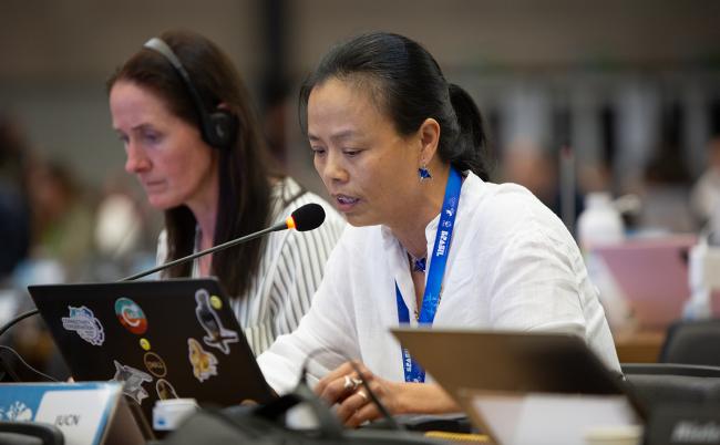 1 Dao Nguyen, IUCN CMS COP15 - 27Mar2026