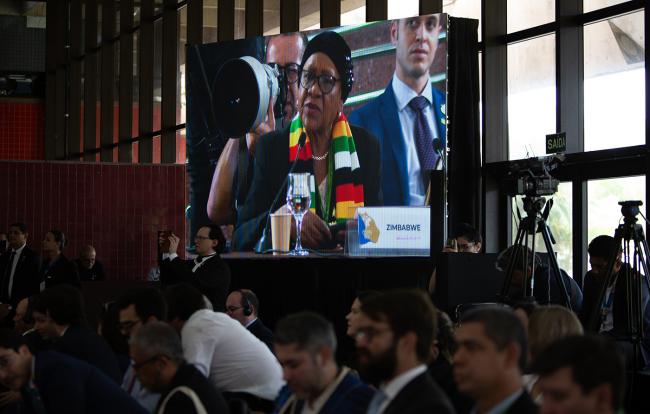 Evelyn Ndlovu, Minister of Environment, Climate, and Wildlife, Zimbabwe - CMS COP15 - 22Mar2026