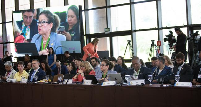 1 Ivonne Higuero (CITES General Secretary - CMS COP15 - 22Mar2026