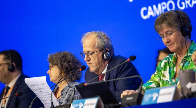 1 João Paulo Capobianco, COP15 Chair (Brazil) - CMS COP15 - 29Mar2026
