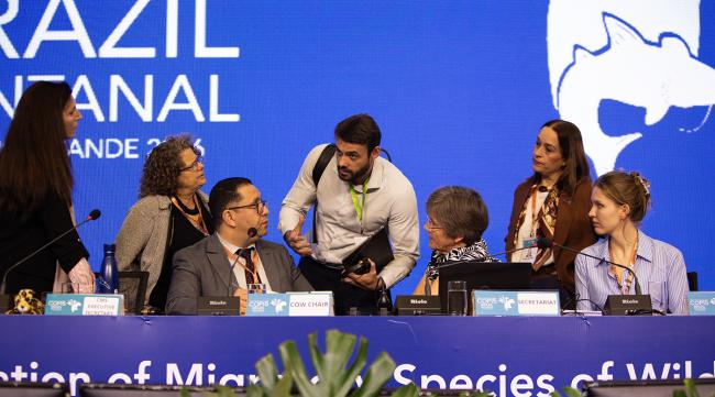 1 Lead Picture - CMS COP15 - 27Mar2026