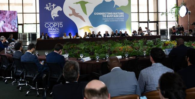 View of the Dais - CMS COP15 - 22Mar2026