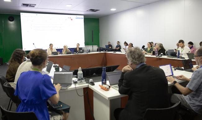 1 Workin Group - CMS COP15 - 25Mar2026
