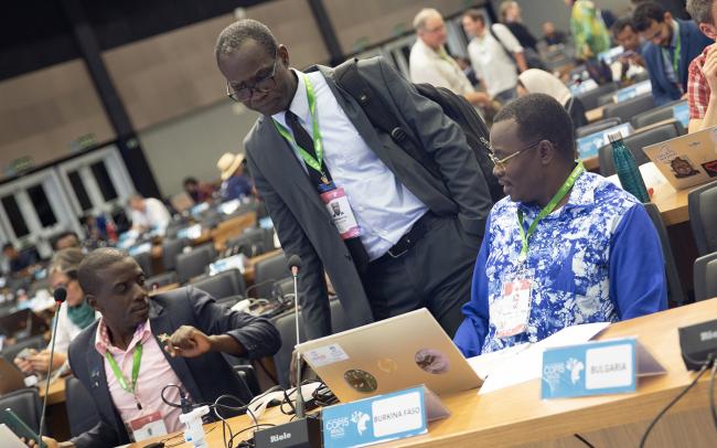 19 Around the Venue- CMS COP15 - 27Mar2026