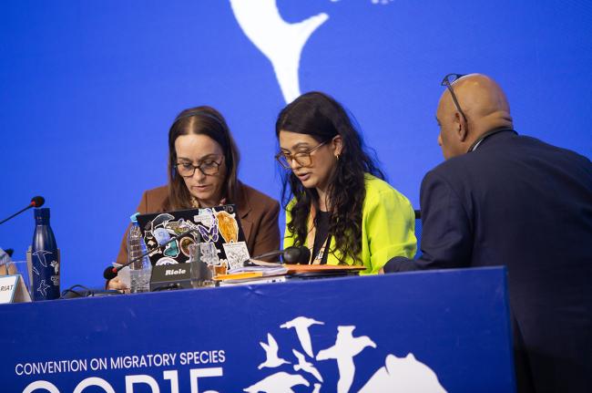 2 Voting Process- CMS COP15 - 27Mar2026