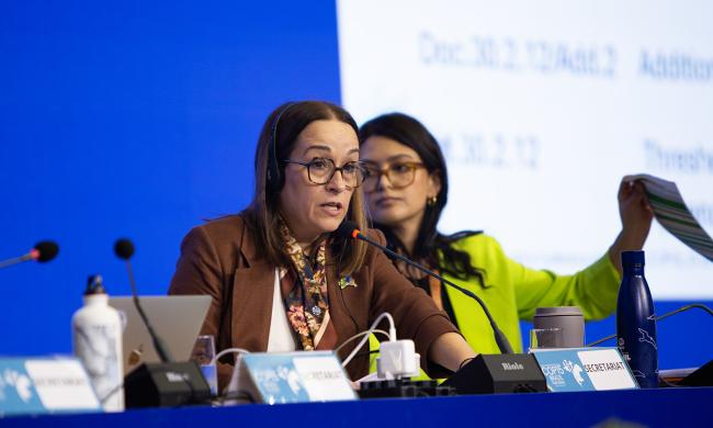 3 Voting Process- CMS COP15 - 27Mar2026