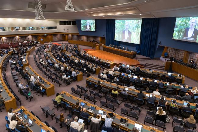 Inger Andersen, Executive Director, UNEP, addressed the opening session via a recorded video message. 