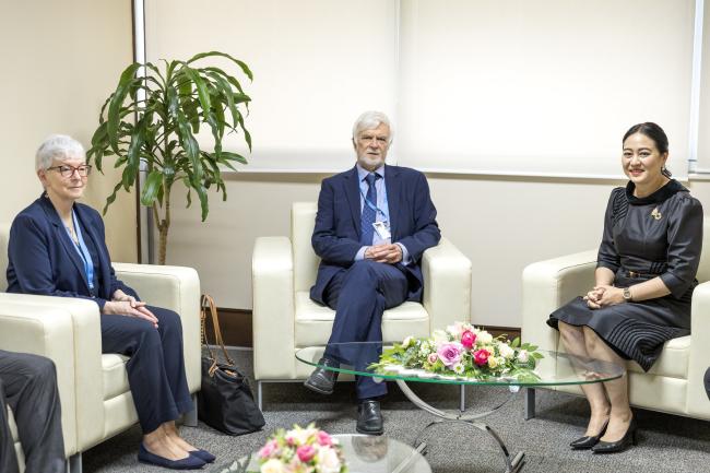 Bilateral meeting
