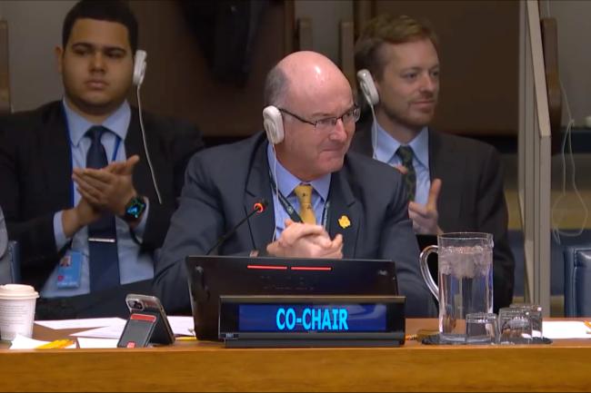 PrepCom Co-Chair Adam McCarthy, Australia