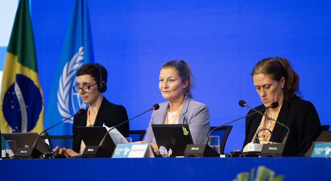 Afternoon Panel - CMS COP15 - 24Mar2026