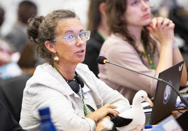 Alex Macdonald, New Zealand - CMS COP15 - 27Mar2026