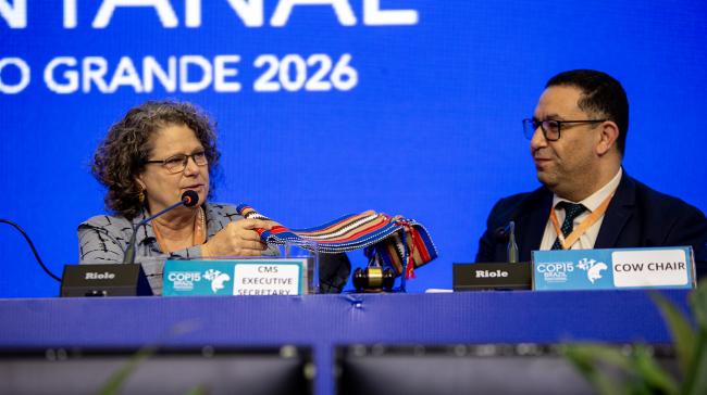 Amy Fraenkel, CMS Executive Secretary - CMS COP15 - 29Mar2026