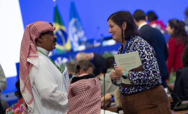 Around the Venue 12- CMS COP15 - 29Mar2026