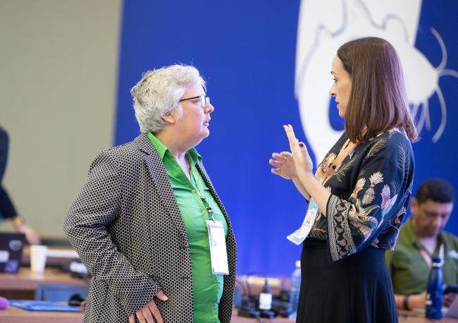 Around the Venue 5- CMS COP15 - 29Mar2026