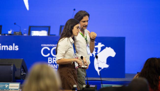 Around the Venue 6 - CMS COP15 - 26Mar2026