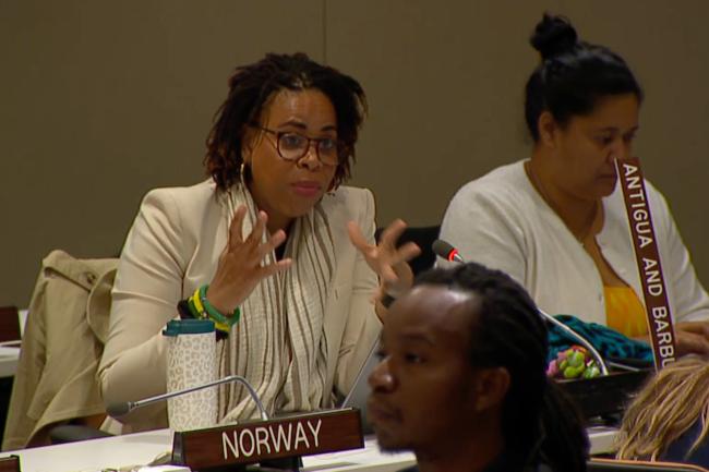 Asha Challenger, Antigua and Barbuda, speaking on behalf of the Caribbean Community (CARICOM)
