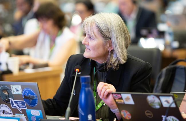 Australia - CMS COP15 - 25Mar2026.