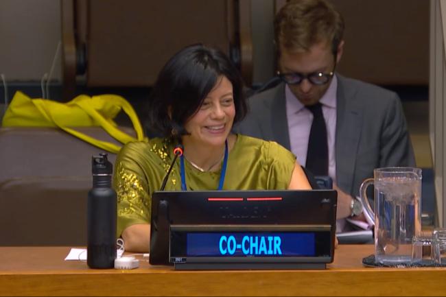 BBNJ PrepCom Co-Chair Janine Coye-Felson, Belize