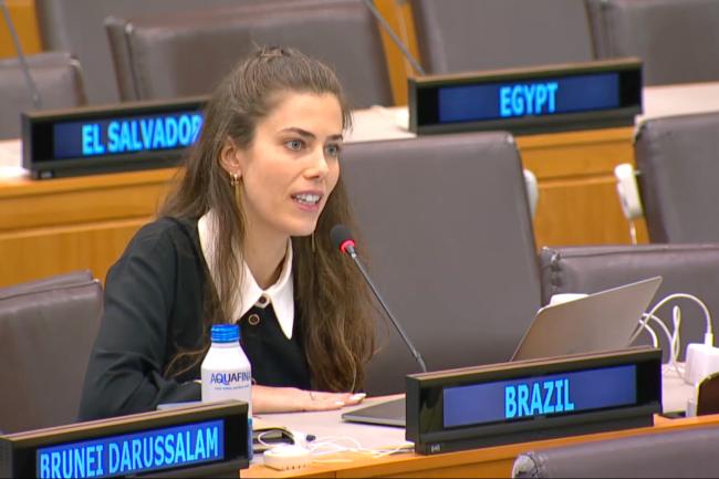 Bárbara Macedo Perrenoud, Brazil, Matheus Freitas Rocha Bastos, Brazil, for the Core Latin American Group (CLAM)