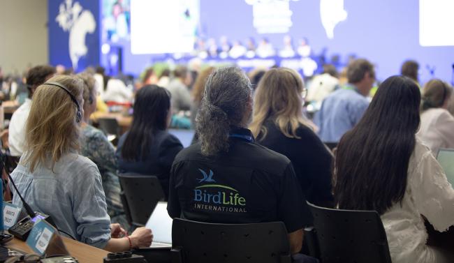 Birdlife - CMS COP15 - 26Mar2026