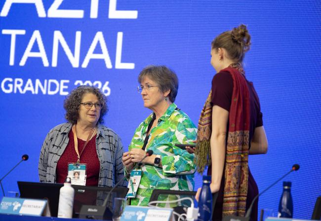 CMS - CMS COP15 - 29Mar2026