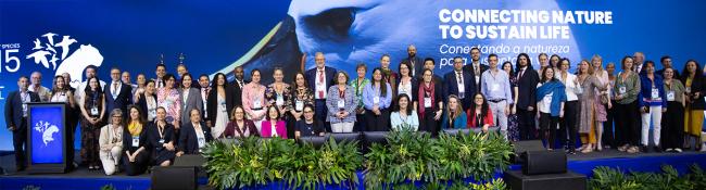 CMS Secretariat - CMS COP15 - 29Mar2026