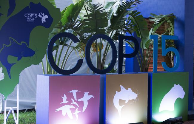 COP15- CMS COP15 - 26Mar2026